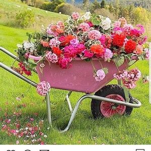 Meet your Posher, Debbie